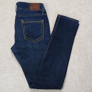 BKE Stella Jeans size 29 Skinny Distressed